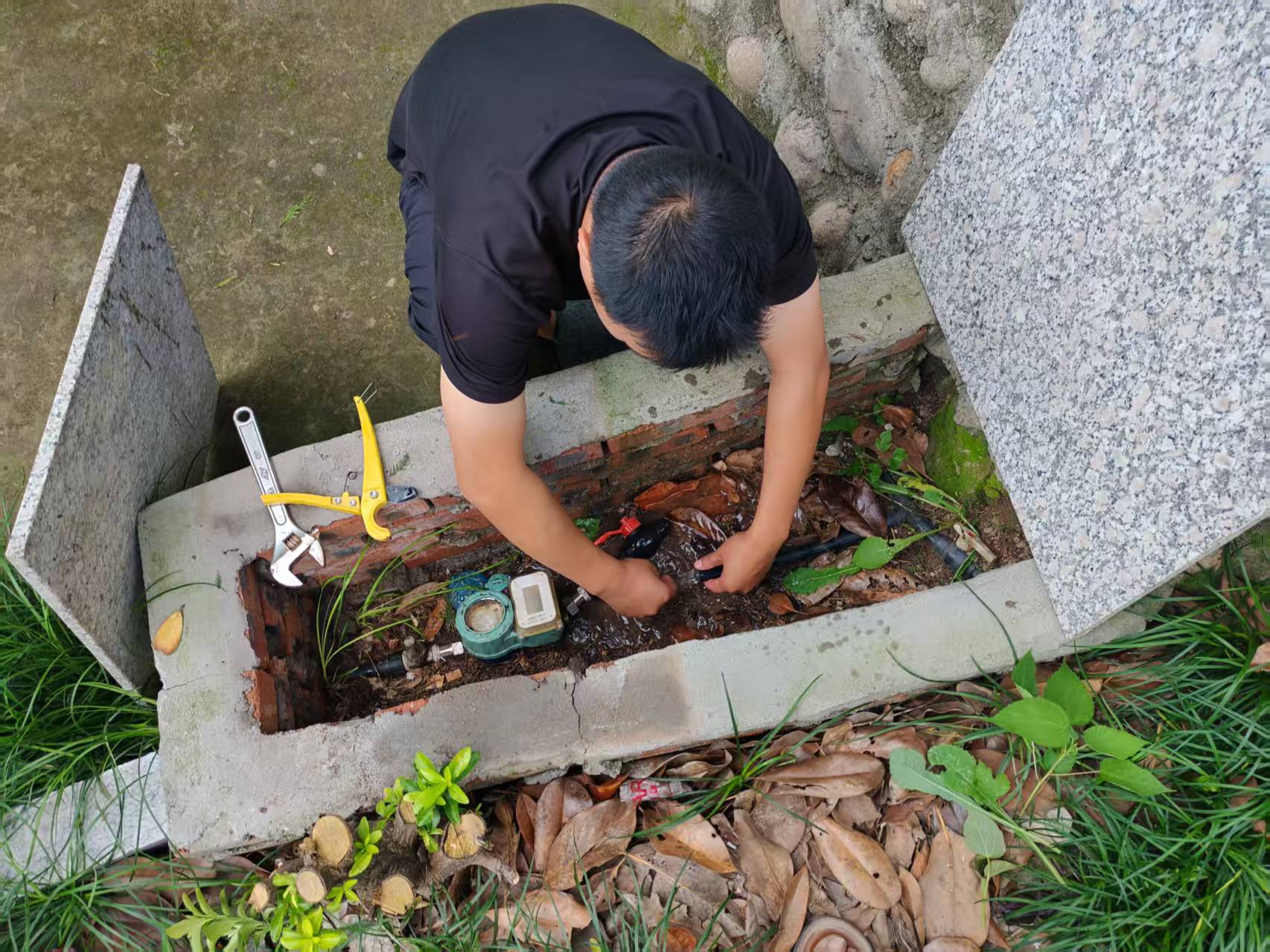 1761036276780006241.jpg 1761036276780006241.jpg